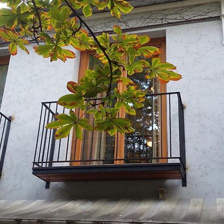 Gimi Vendégház Baja Exterior foto