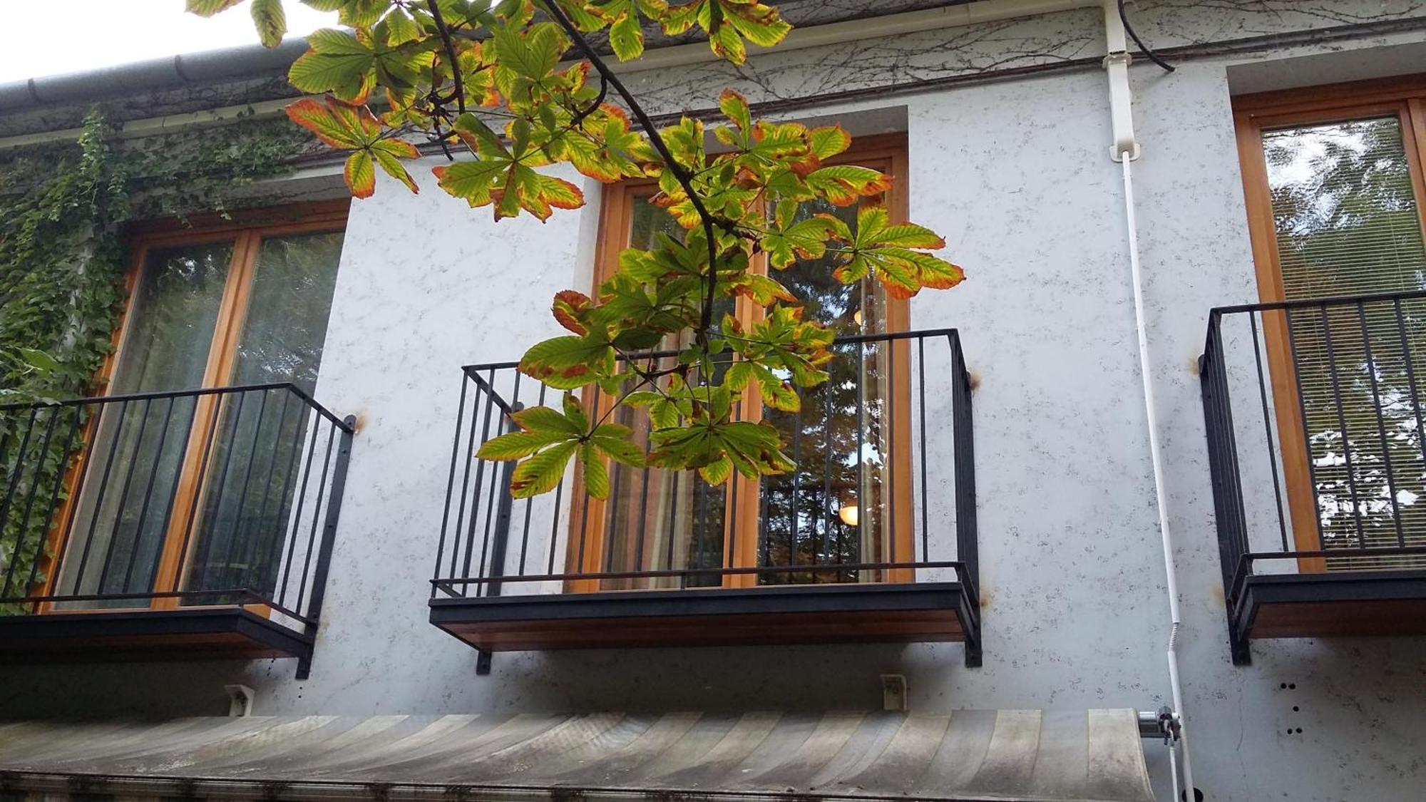 Gimi Vendégház Baja Exterior foto