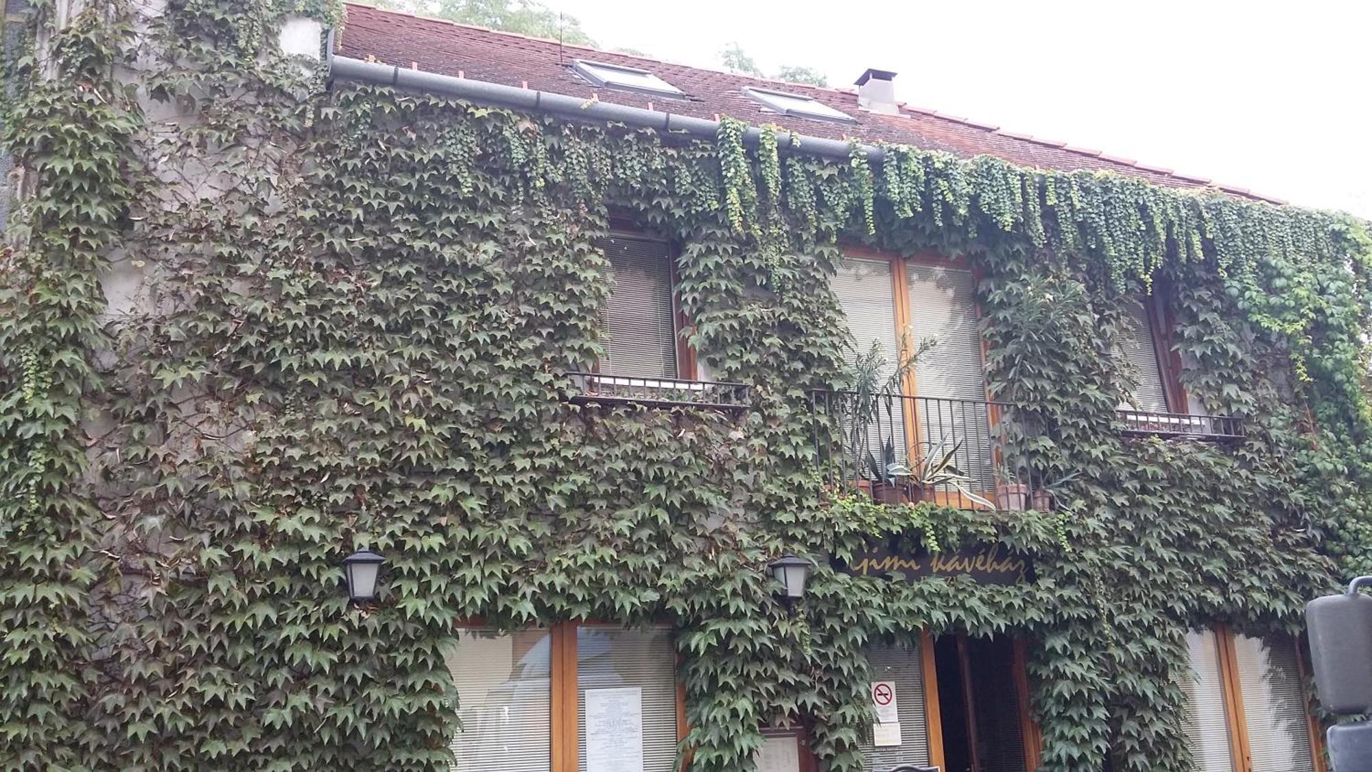 Gimi Vendégház Baja Exterior foto
